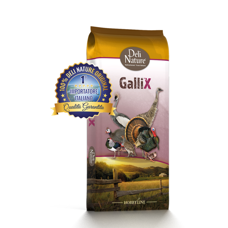 Deli Nature - GalliX Ornamental Maintenance Pellet 20kg